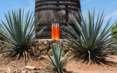 Death Match: Blue Agave Nectar vs Argan Oil